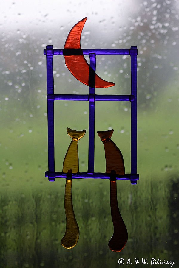 deszczowy dzień, koty w oknie z księżycem !!!! nie do albumów