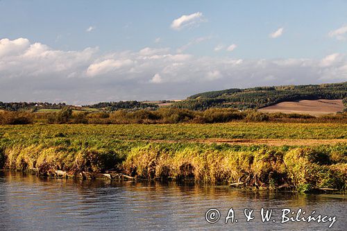 Rzeka Noteć (river) w przy śluzie Krostkowo.