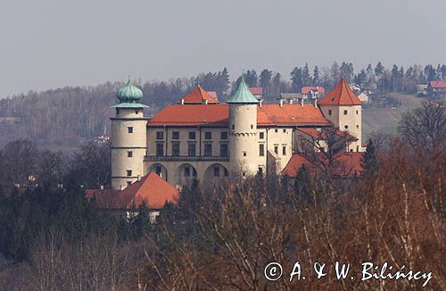 Nowy Wiśnicz, zamek, Pogórze Wiśnickie