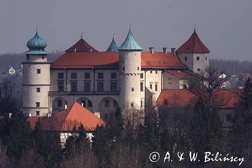 Nowy Wiśnicz, zamek, Pogórze Wiśnickie