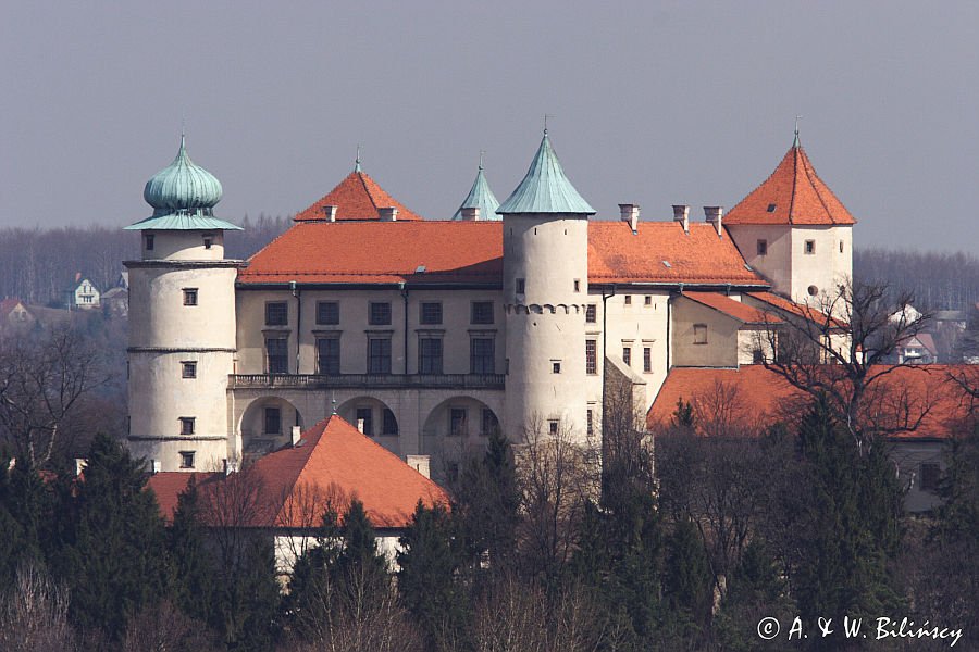 Nowy Wiśnicz, zamek, Pogórze Wiśnickie