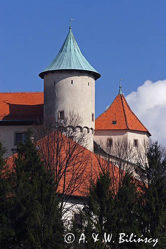 Nowy Wiśnicz, zamek, Pogórze Wiśnickie