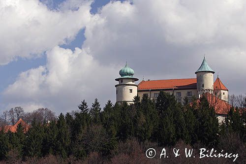 Nowy Wiśnicz, zamek, Pogórze Wiśnickie