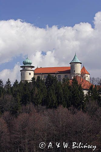 Nowy Wiśnicz, zamek, Pogórze Wiśnickie
