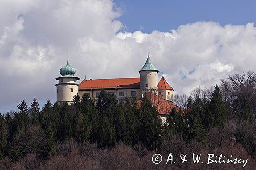Nowy Wiśnicz, zamek, Pogórze Wiśnickie