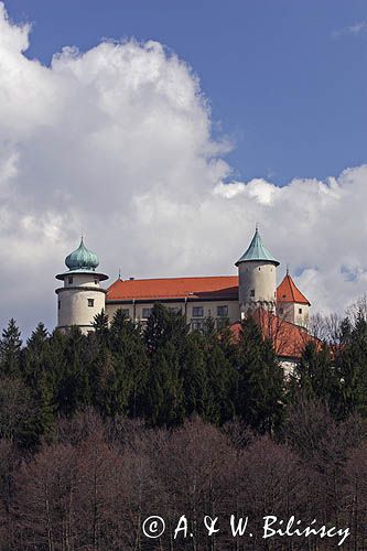 Nowy Wiśnicz, zamek, Pogórze Wiśnickie