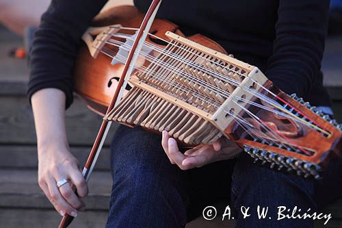 skrzypce klawiszowe, nykelharpa, nyckelharpa, koncert na wyspie Norrbyskar, Szwecja, Zatoka Botnicka