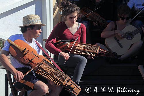 skrzypce klawiszowe, nykelharpa, nyckelharpa, koncert na wyspie Norrbyskar, Szwecja, Zatoka Botnicka