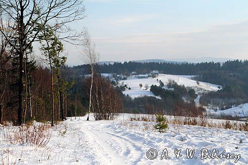 okolice wsi Obarzym, Kamieniec, Pogórze Dynowskie