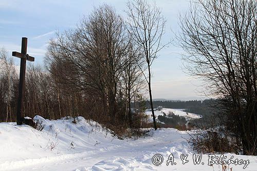 okolice wsi Obarzym, Kamieniec, Pogórze Dynowskie