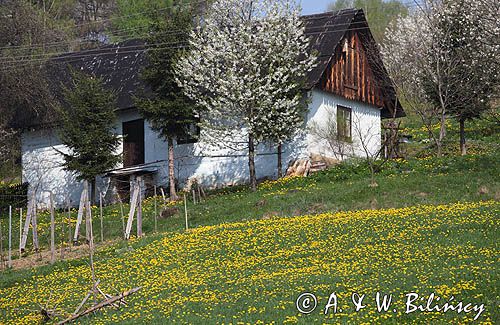 drewniana chata we wso Obarzym, Pogórze Dynowskie