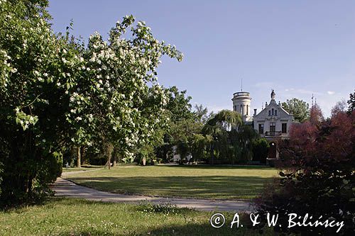 Oblęgorek pałacyk muzeum H. Sienkiewicza