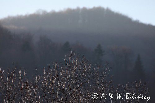 Bieszczady