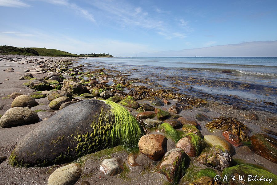 Odden, kamienista plaża, Zelandia, Kattegat, Dania