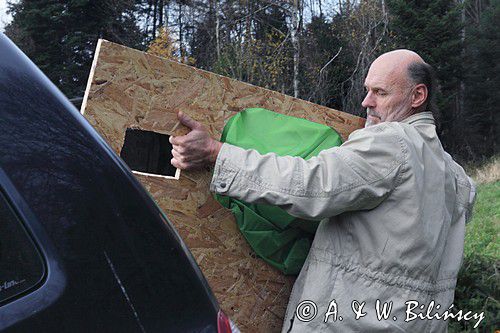 budowanie czatowni fotografa przyrody
