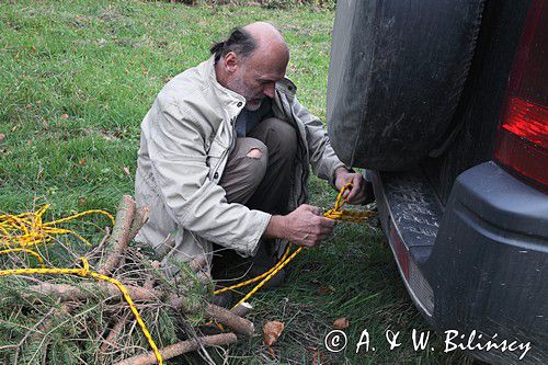 budowanie czatowni fotografa przyrody