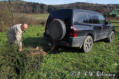 budowanie czatowni fotografa przyrody