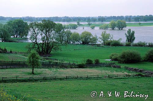 dolna Odra, Cedyński Park Krajobrazowy