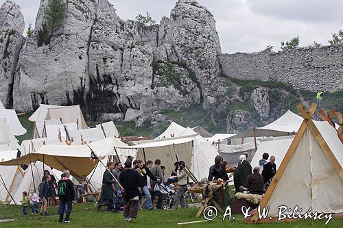 Ogrodzieniec, V Najazd Barbarzyńców