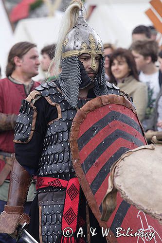 Ogrodzieniec, V Najazd Barbarzyńców, rycerz