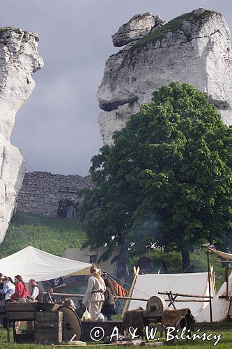 Ogrodzieniec, V Najazd Barbarzyńców, obozowisko