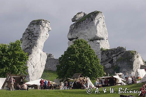 Ogrodzieniec, V Najazd Barbarzyńców, obozowisko