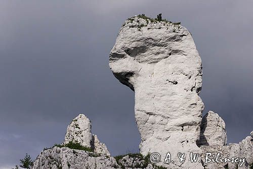 Ogrodzieniec, maczuga przy ruinach zamku, głowa skały Wielbłąd