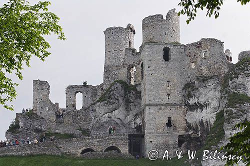 Ogrodzieniec, ruiny zamku