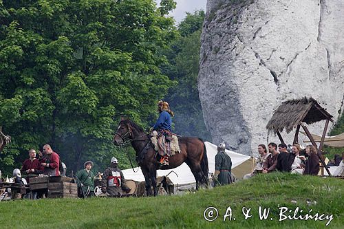 Ogrodzieniec, V Najazd Barbarzyńców, zwiadowca