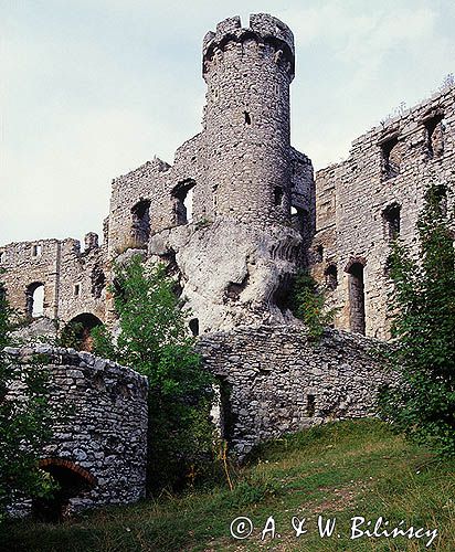 ruiny zamku Ogrodzieniec Szlak Orlich Gniazd, Jura