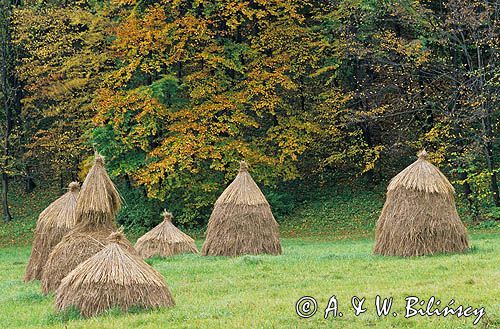 Ojcowski Park Narodowy