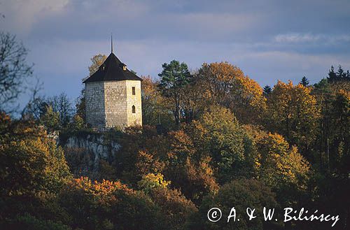 Ojców Zamek