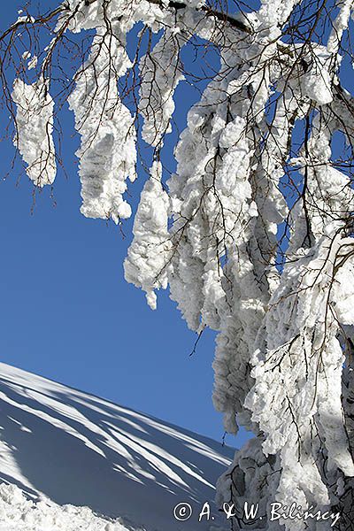 okiść, zima na Połoninie Wetlińskiej, Bieszczady