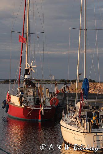 Safran w porcie rybackim Boda na Olandii, Szwecja
