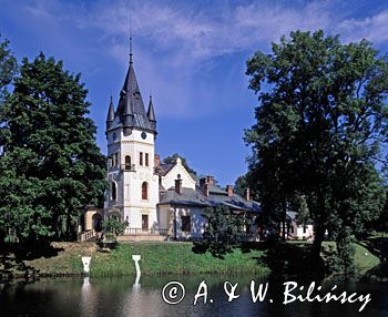 pałac w Olszanicy