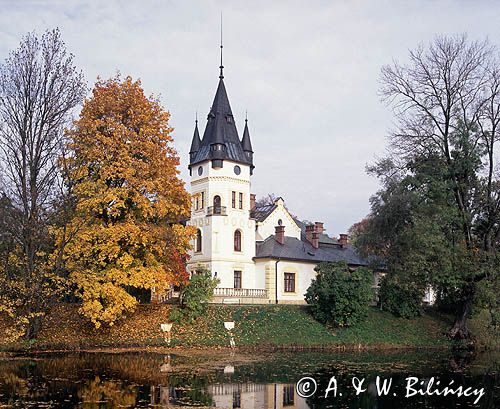 pałac w Olszanicy