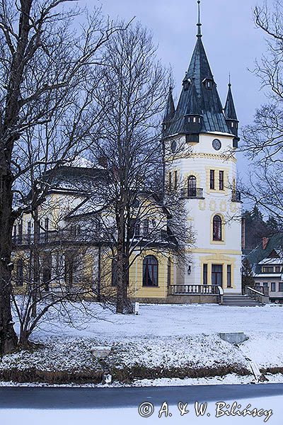 Pałac, Hotel, w Olszanicy