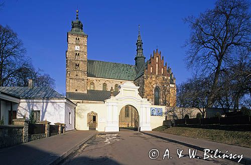 Opatów Kolegiata św. Marcina