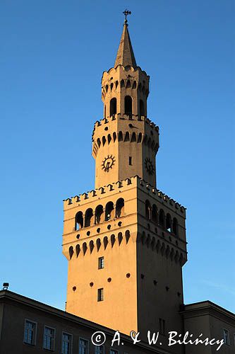 Opole, wieża ratuszowa