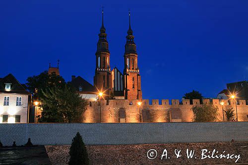 Opole, Katedra o zmierzchu