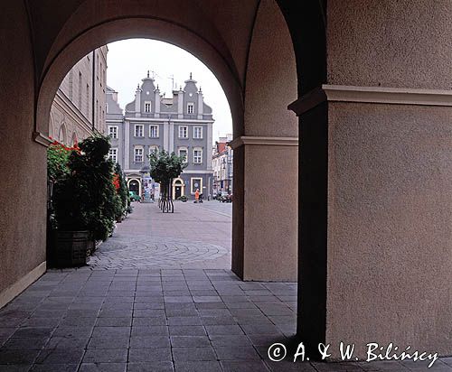 Opole, rynek