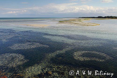 wybrzeże w Oster Hurup, Jutlandia, Kattegat, Dania
