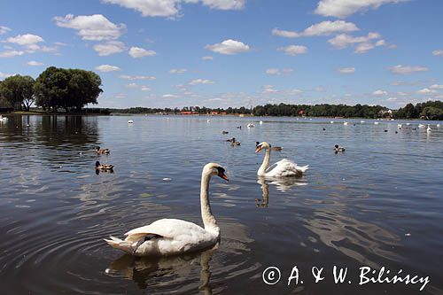 Ostróda, jezioro Drwęckie