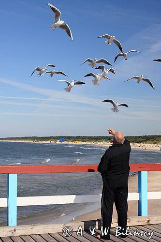 na molo w Połądze, Połąga, Palanga, Litwa Palanga, Lithuania