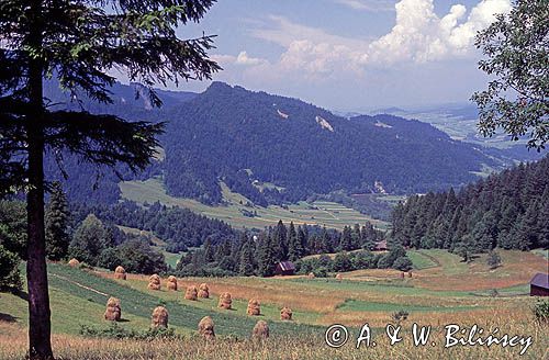 widok z Palenicy na Pieniny, Małe Pieniny