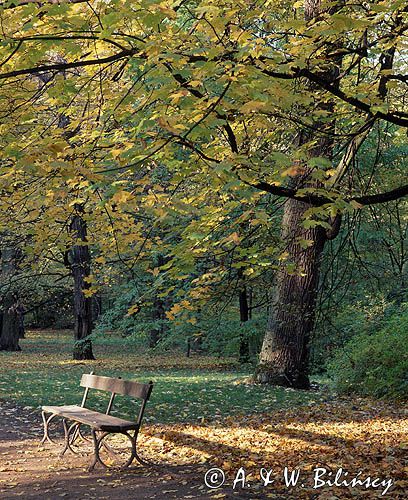 park w Łazienkach Warszawskich