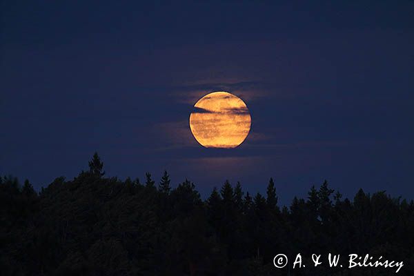 Pełnia Księżyca, jezioro Vattern, Hjortholmarna, Szwecja