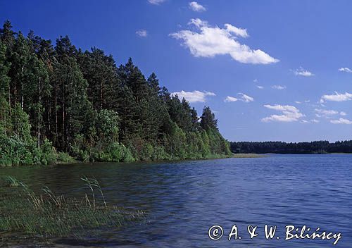 Kaszuby, Jezioro Piaszno