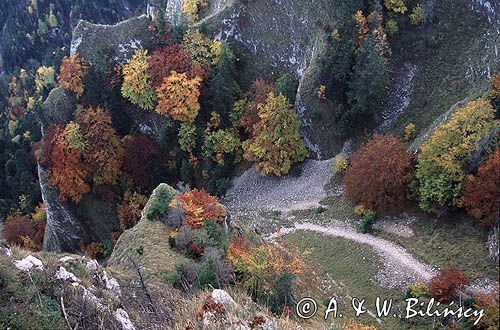 Pieniny, Pieniński Park Narodowy