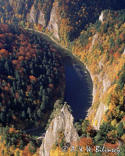 Pieniny, przełom Dunajca, widok z Sokolicy